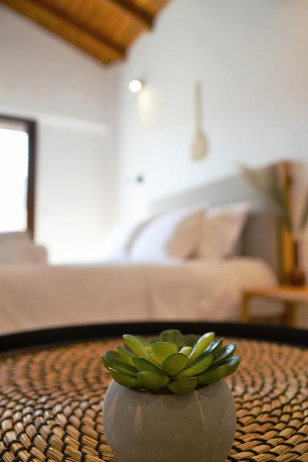 Iades Suites 阿菲托斯 外观 照片